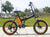 Folding Electric Bike with Smart Charge 20