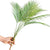 Faux Palm Plant