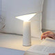 rotatable dimmable light